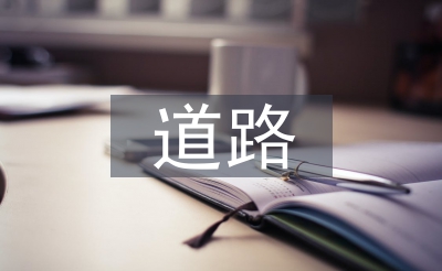 中国路子论文