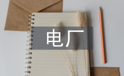 电厂检验宁静总结